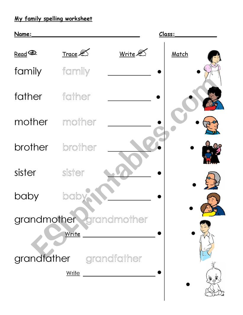 My family vocabulary worksheet