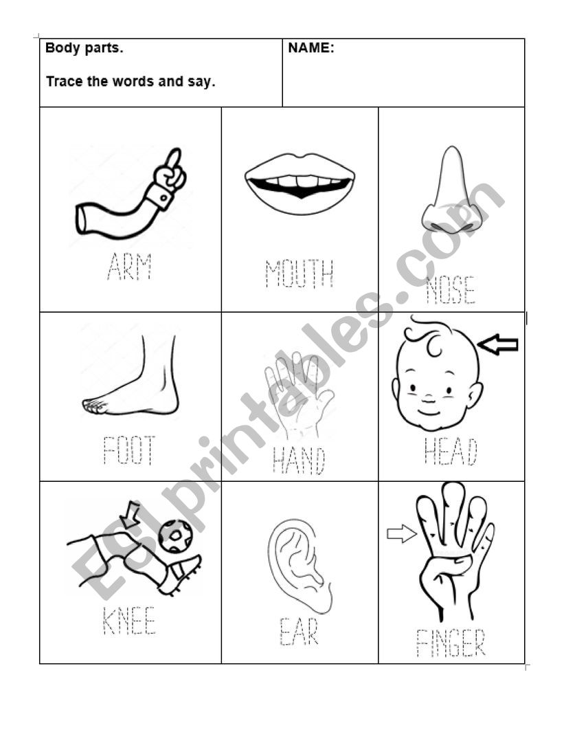Body parts and trace worksheet