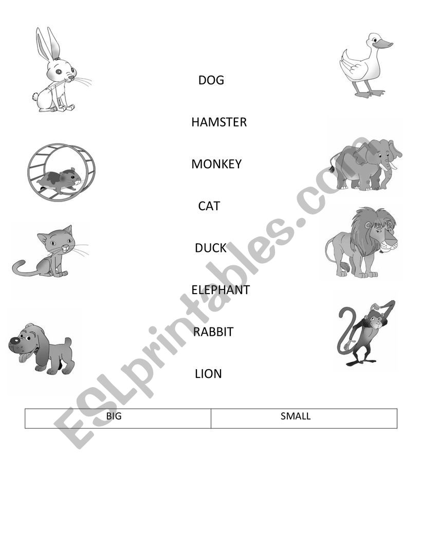  Animals worksheet
