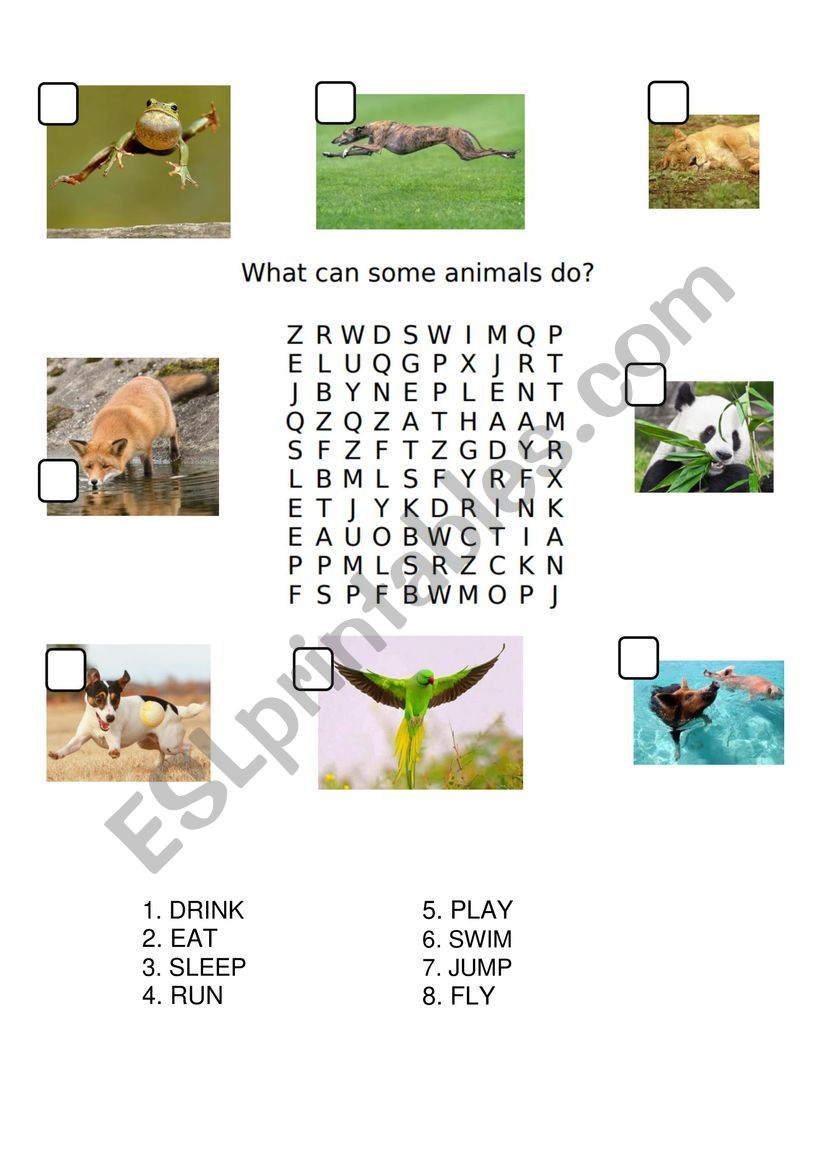 What do animals do? worksheet