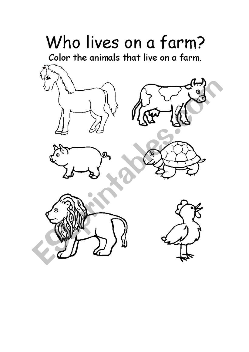 Animals worksheet