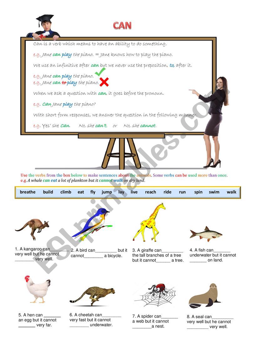 Can - Animals - ESL worksheet by spinney