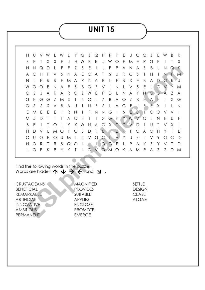 vocabulary worksheet