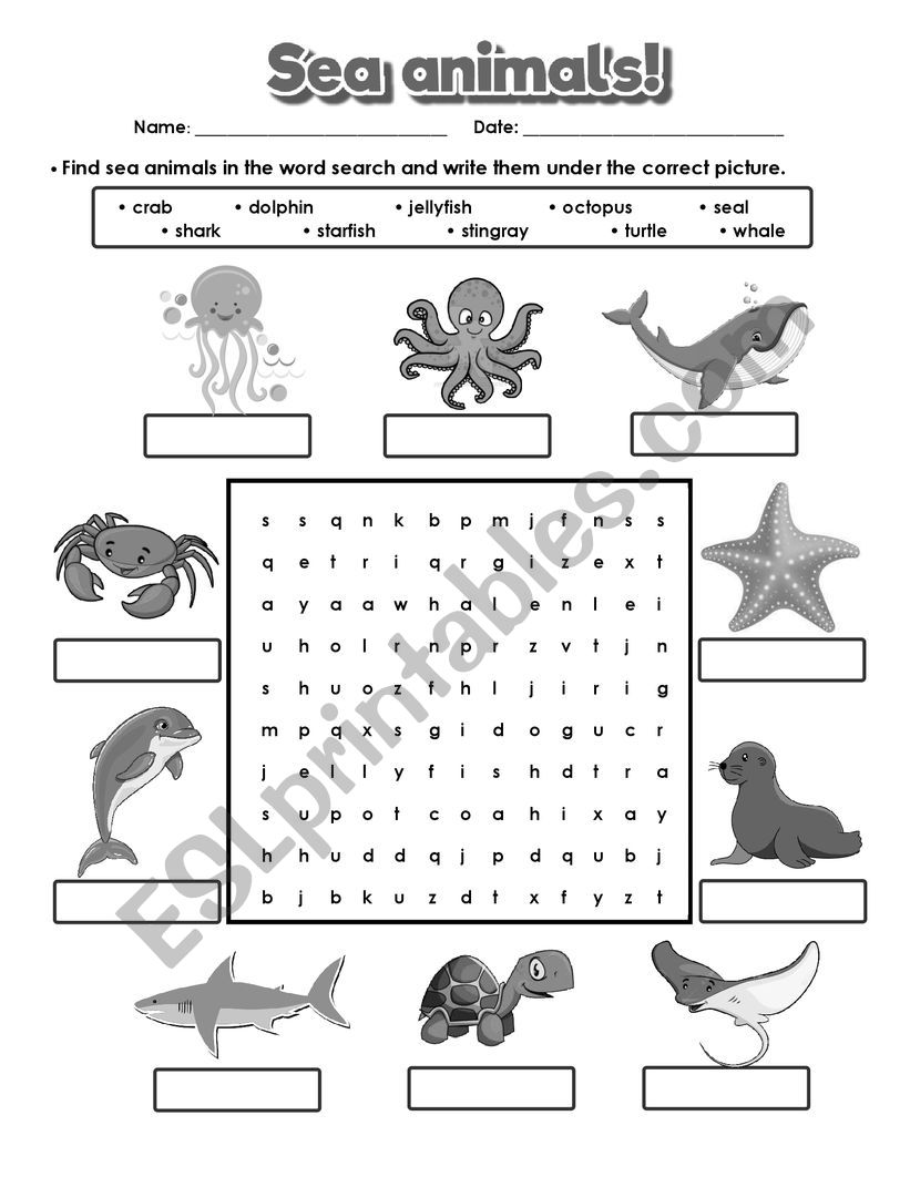 sea animals word search esl worksheet by arelyl13