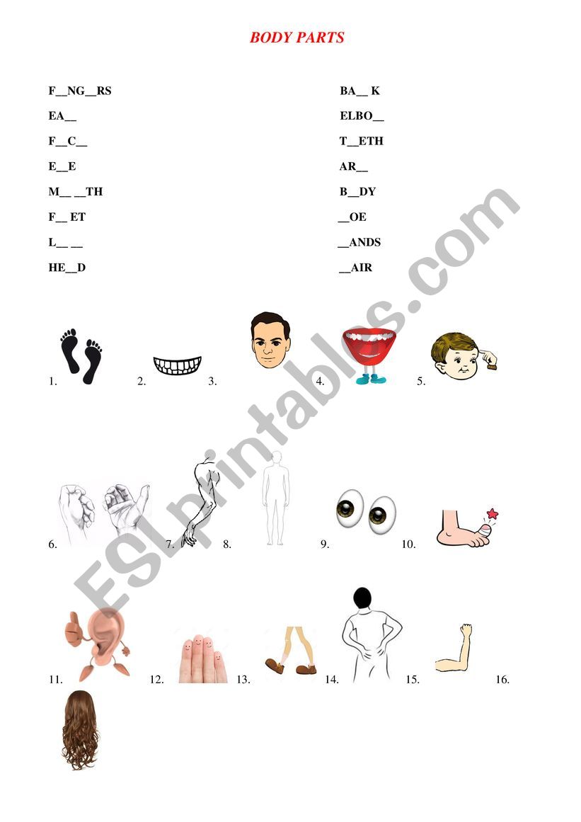 Body parts worksheet