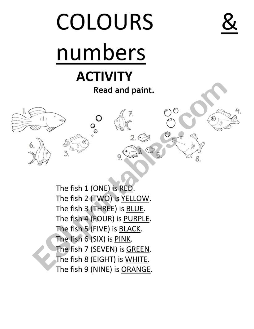 COLOURS & NUMBERS  worksheet