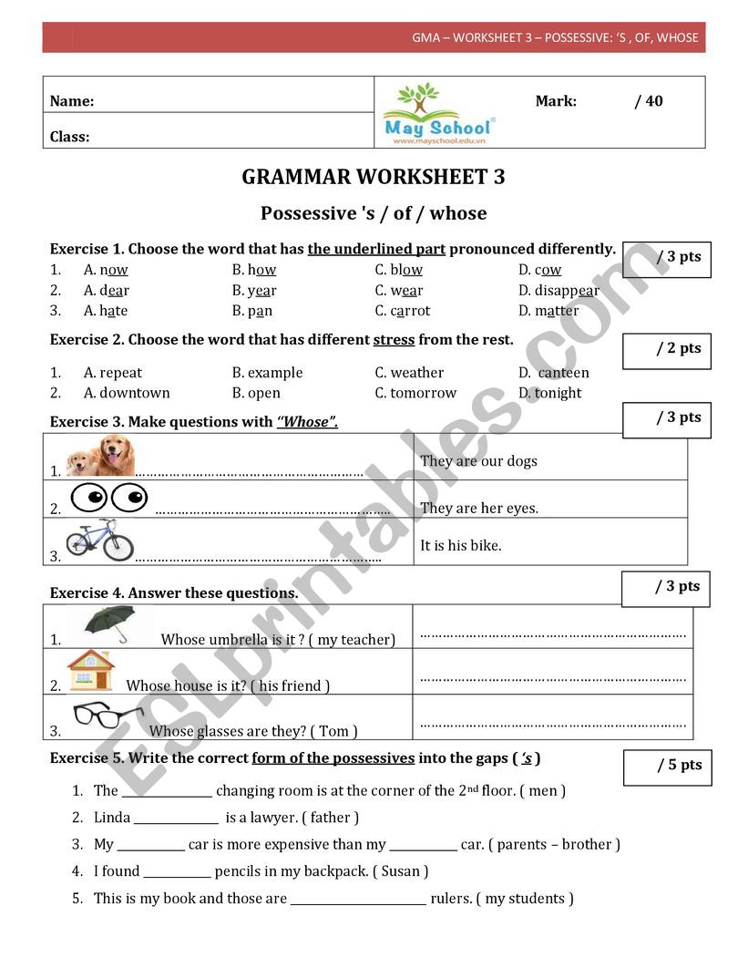 Possessive worksheet