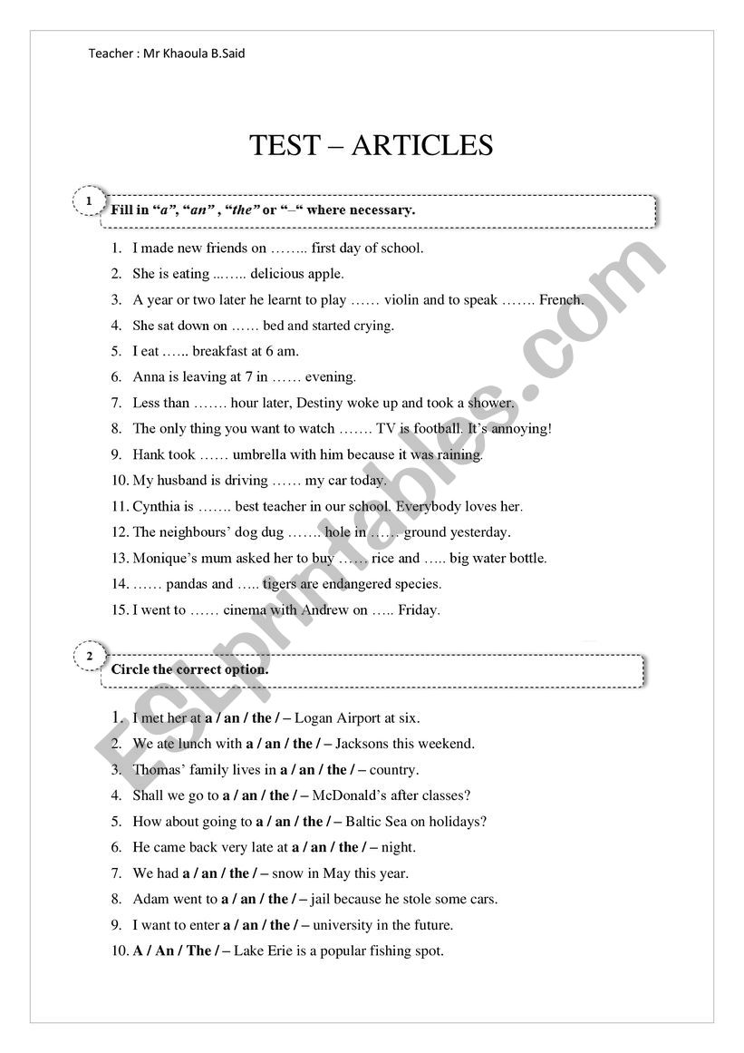 the articles worksheet