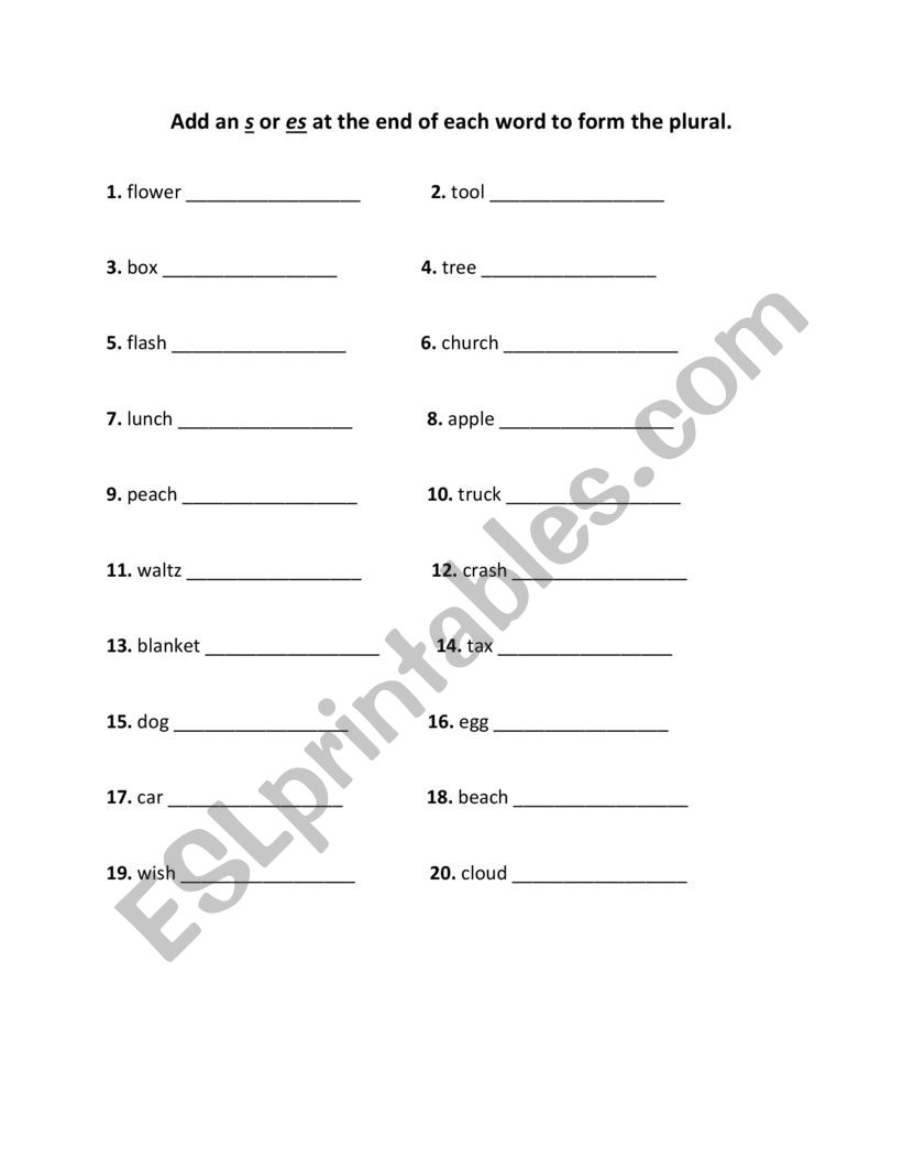 THE PLURAL OF NOUNS worksheet