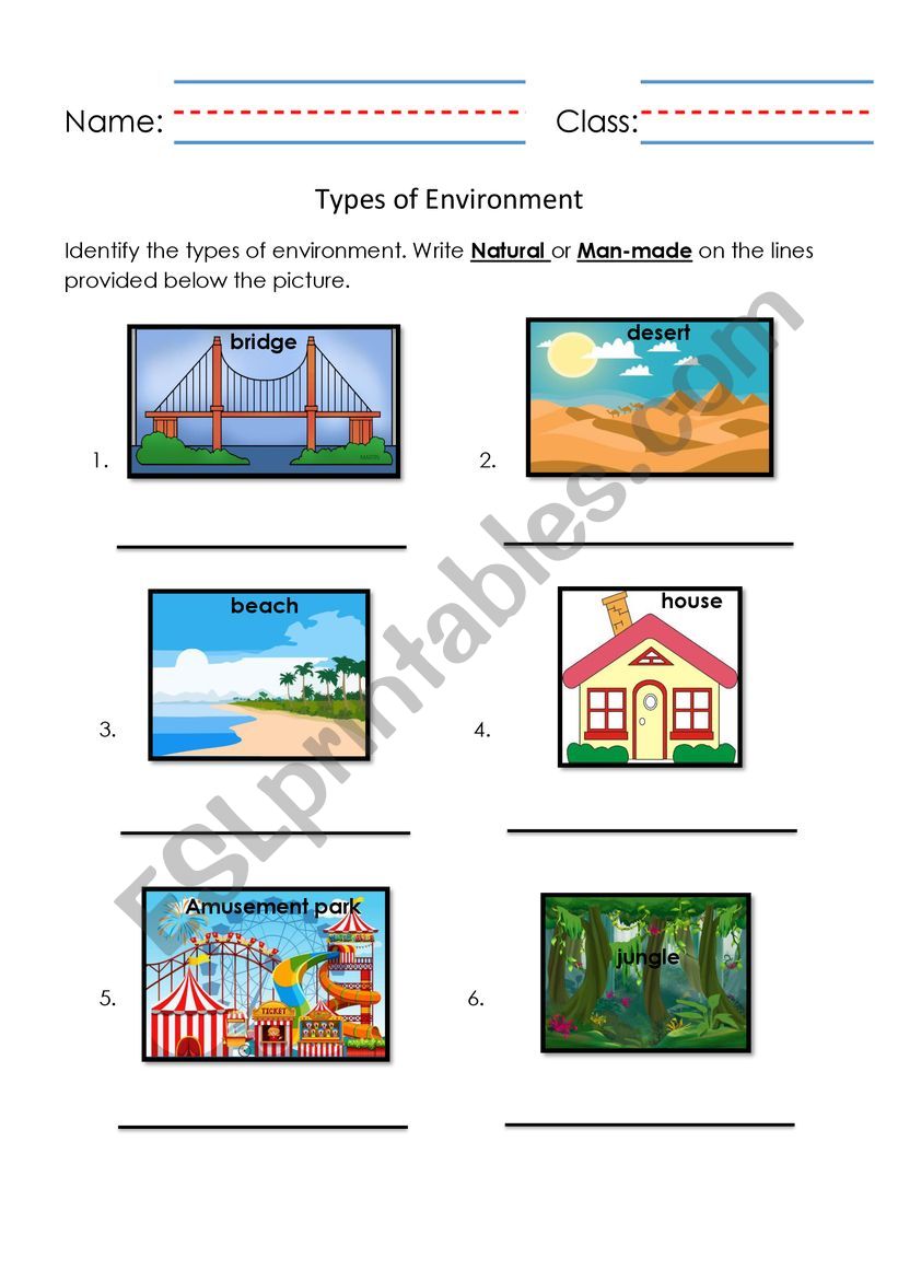 Types of Environment worksheet