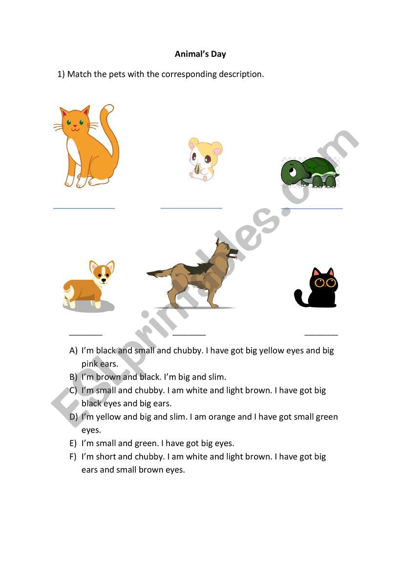 Animal�s Day worksheet