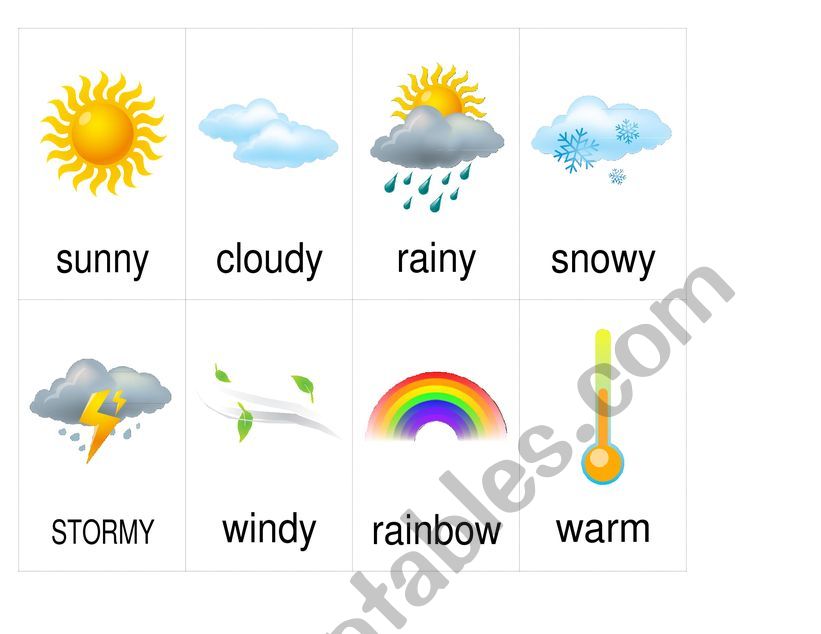 WEATHER CARDS worksheet