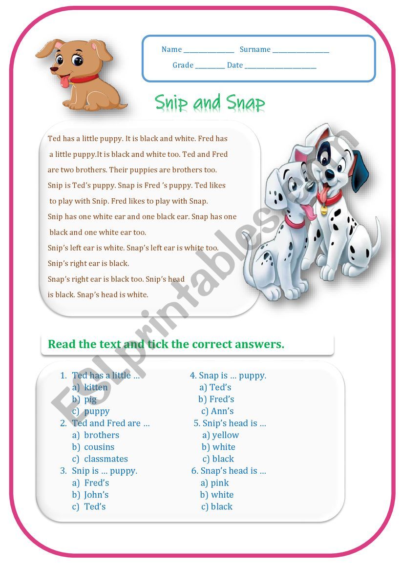 Snip and Snap worksheet