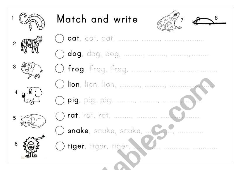 matching with animals  worksheet