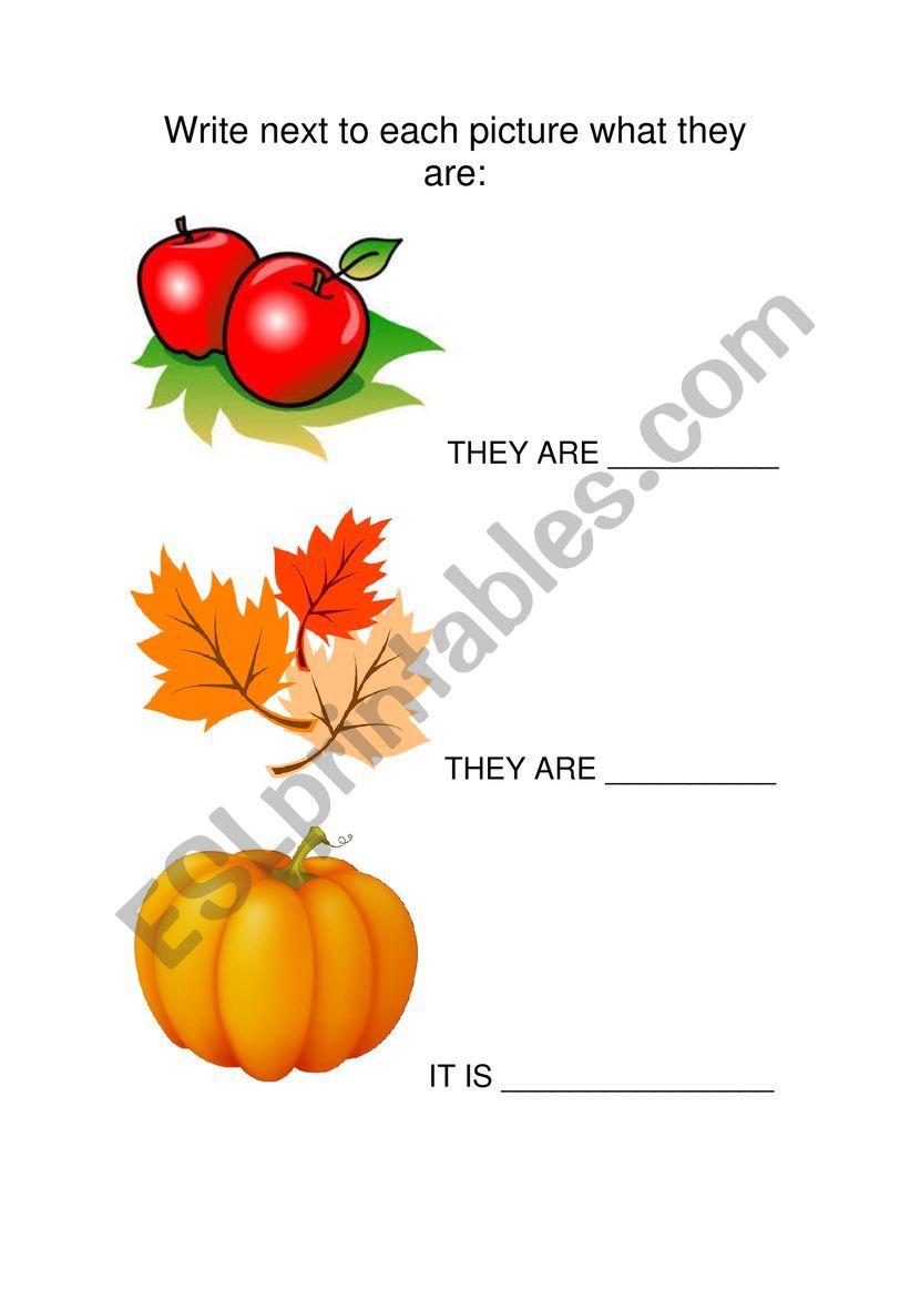 Autumn Vocabulary worksheet