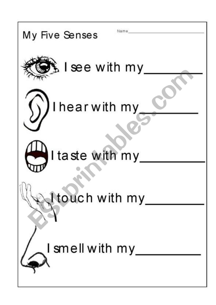 Sensory Worksheet worksheet