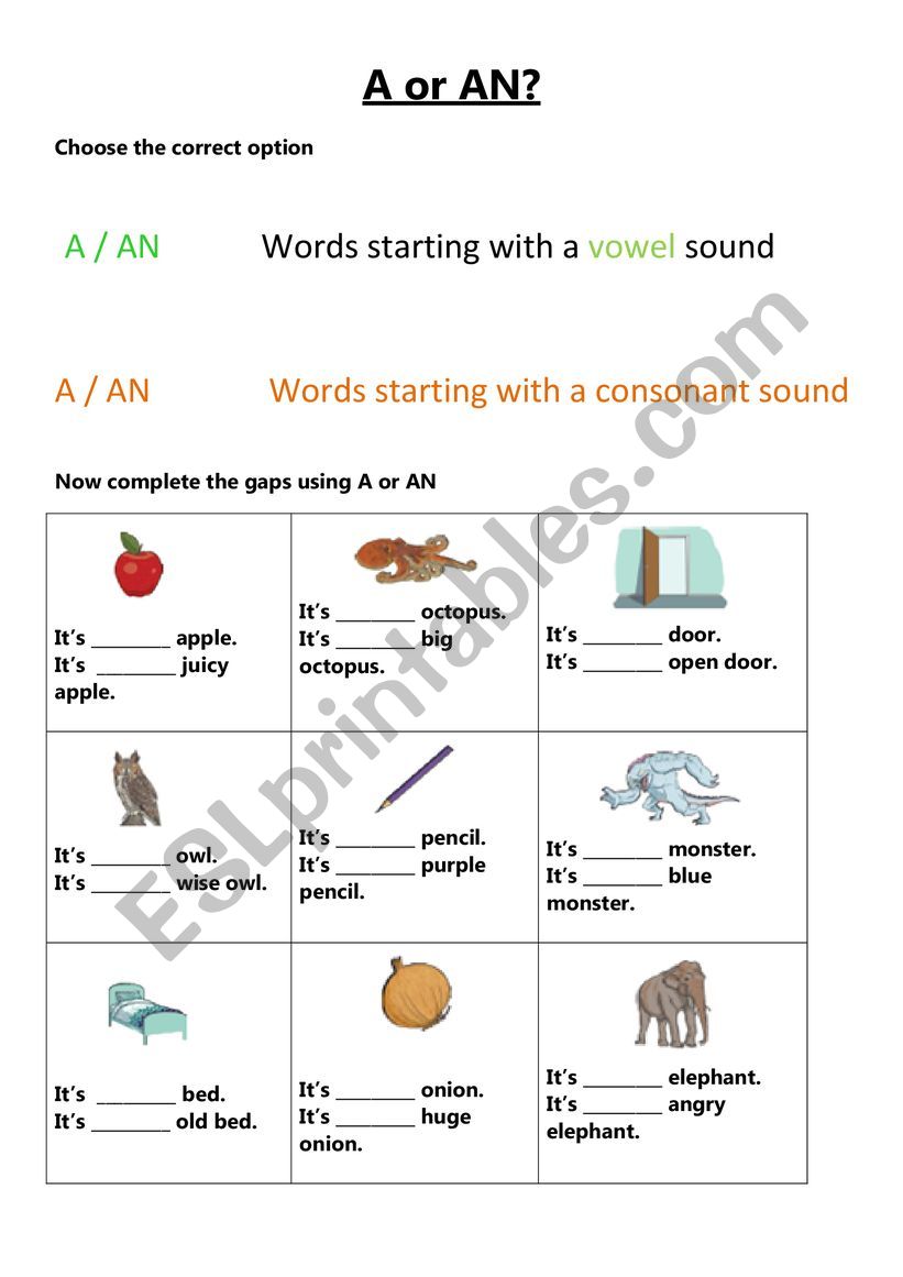 A or AN worksheet