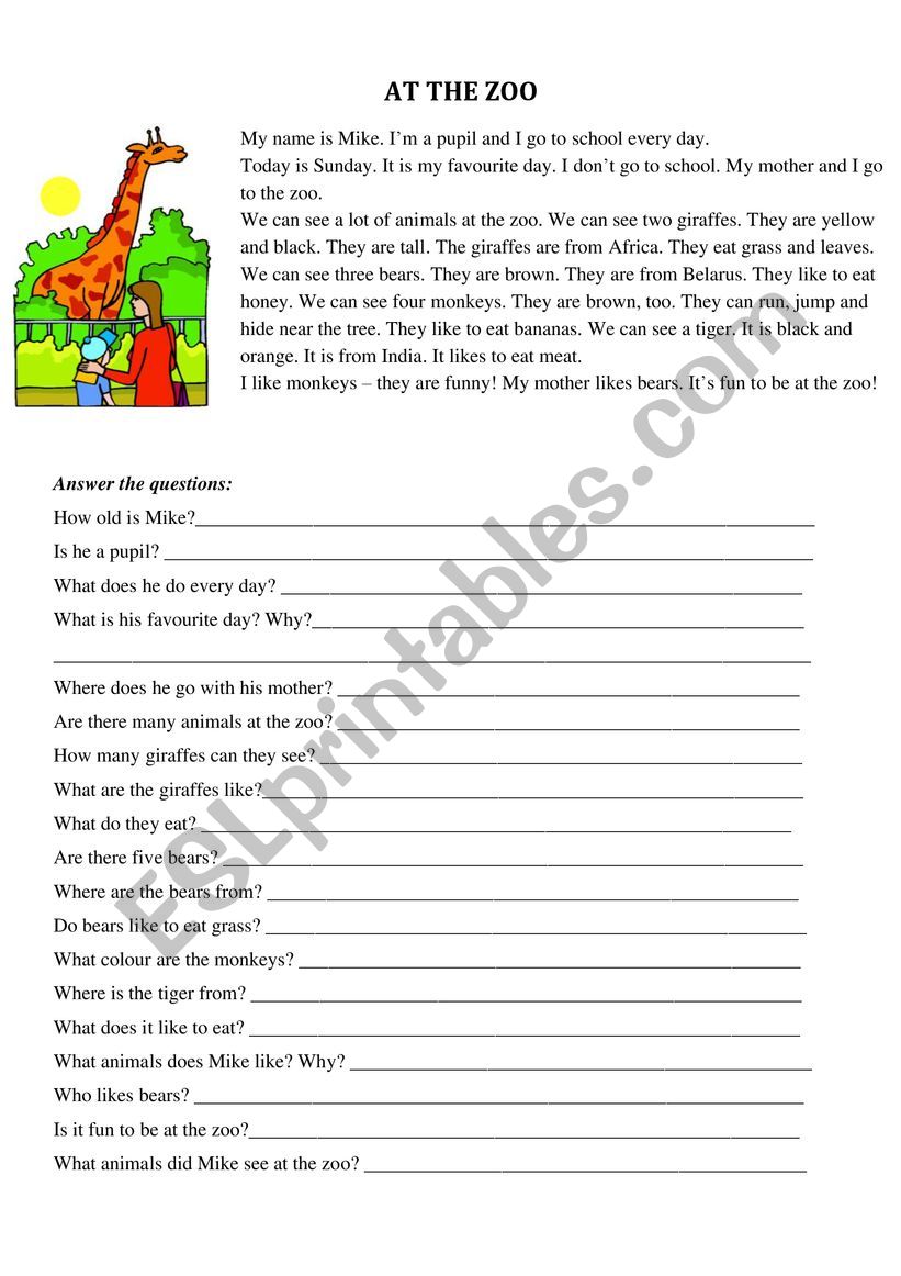 At the zoo worksheet