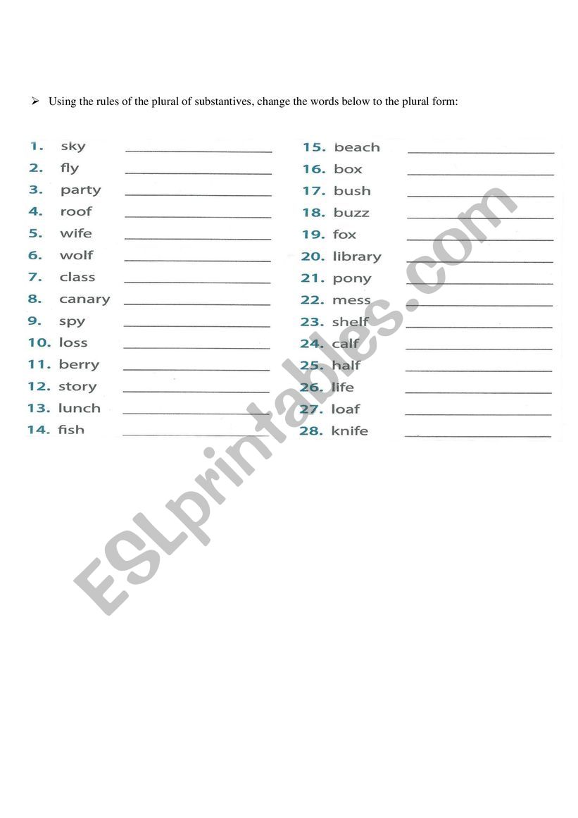 Plural of the substantives - exercise