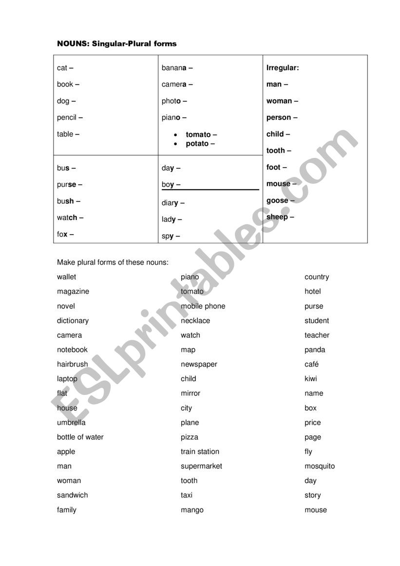 Nouns: singular and plural  worksheet