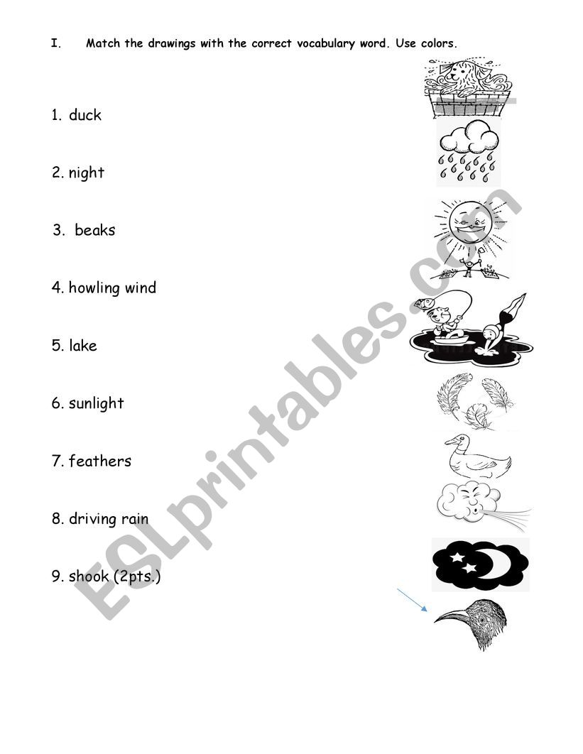 Vocabulary Exercise worksheet