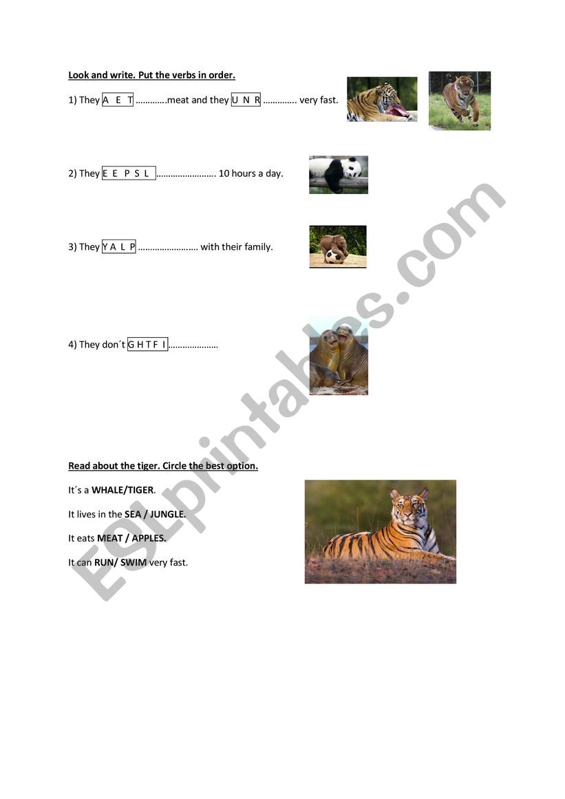 Animals worksheet