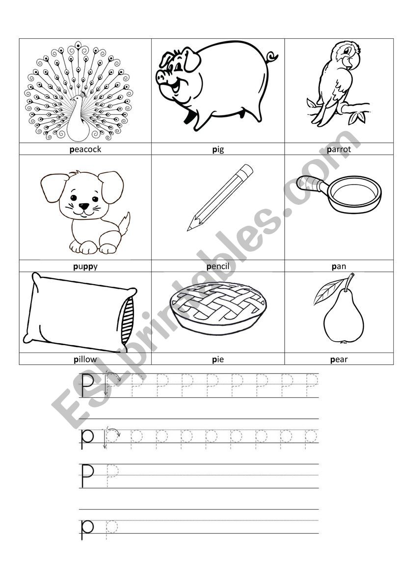 Letter P worksheet