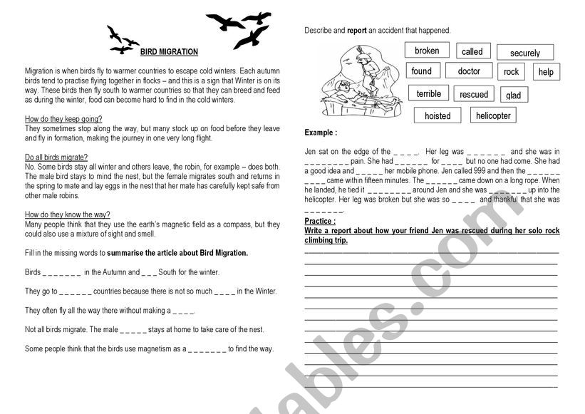 Comprehension and description worksheet