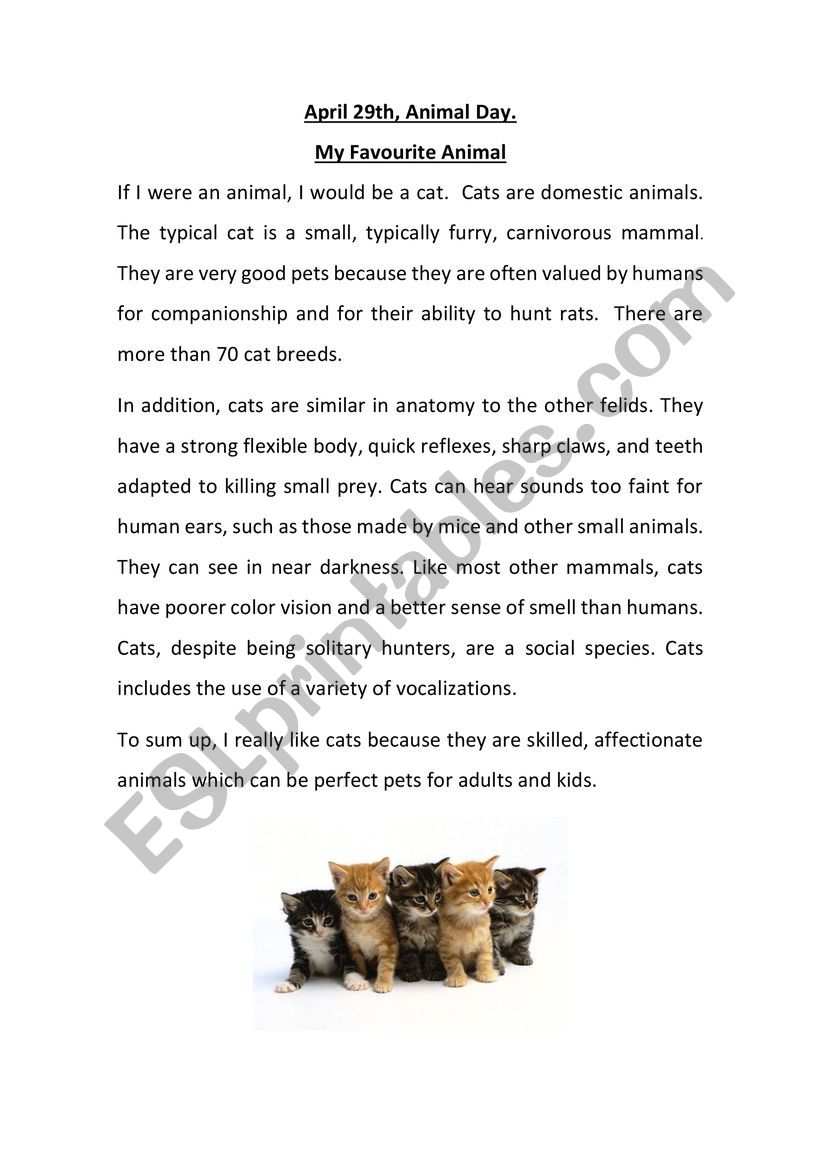 Animal Day worksheet