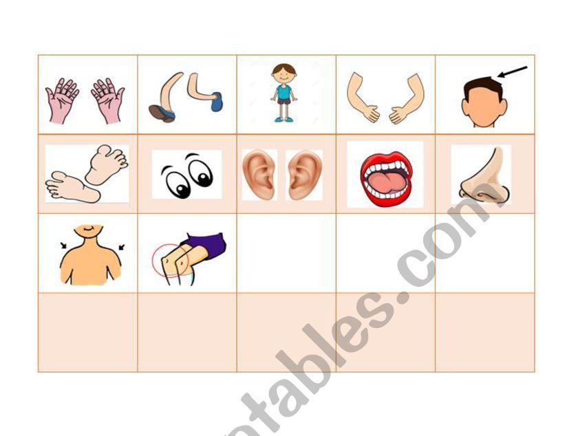 BODY PARTS worksheet