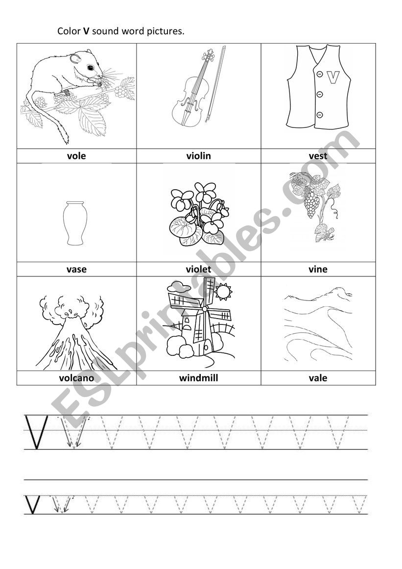 Letter V worksheet