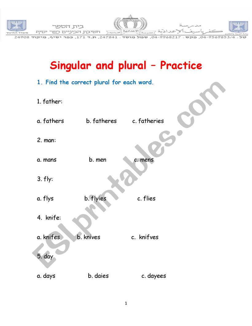 Singulars & Plurals worksheet