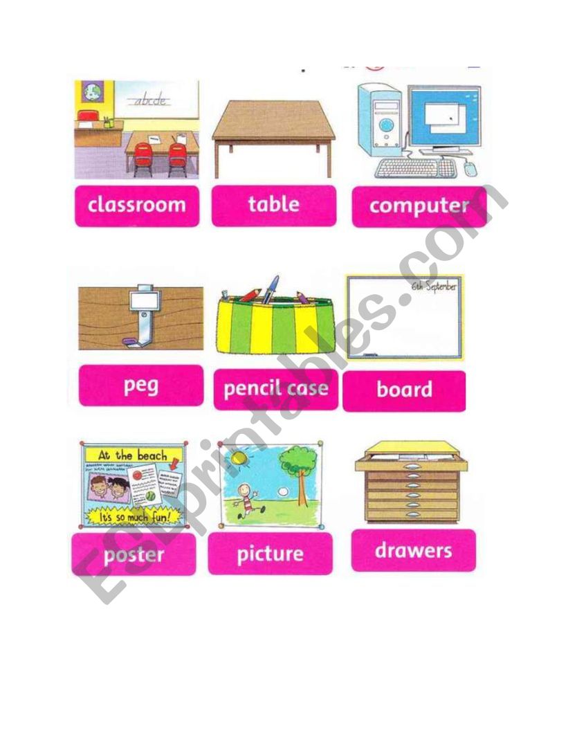 Have You Got Flashcard worksheet