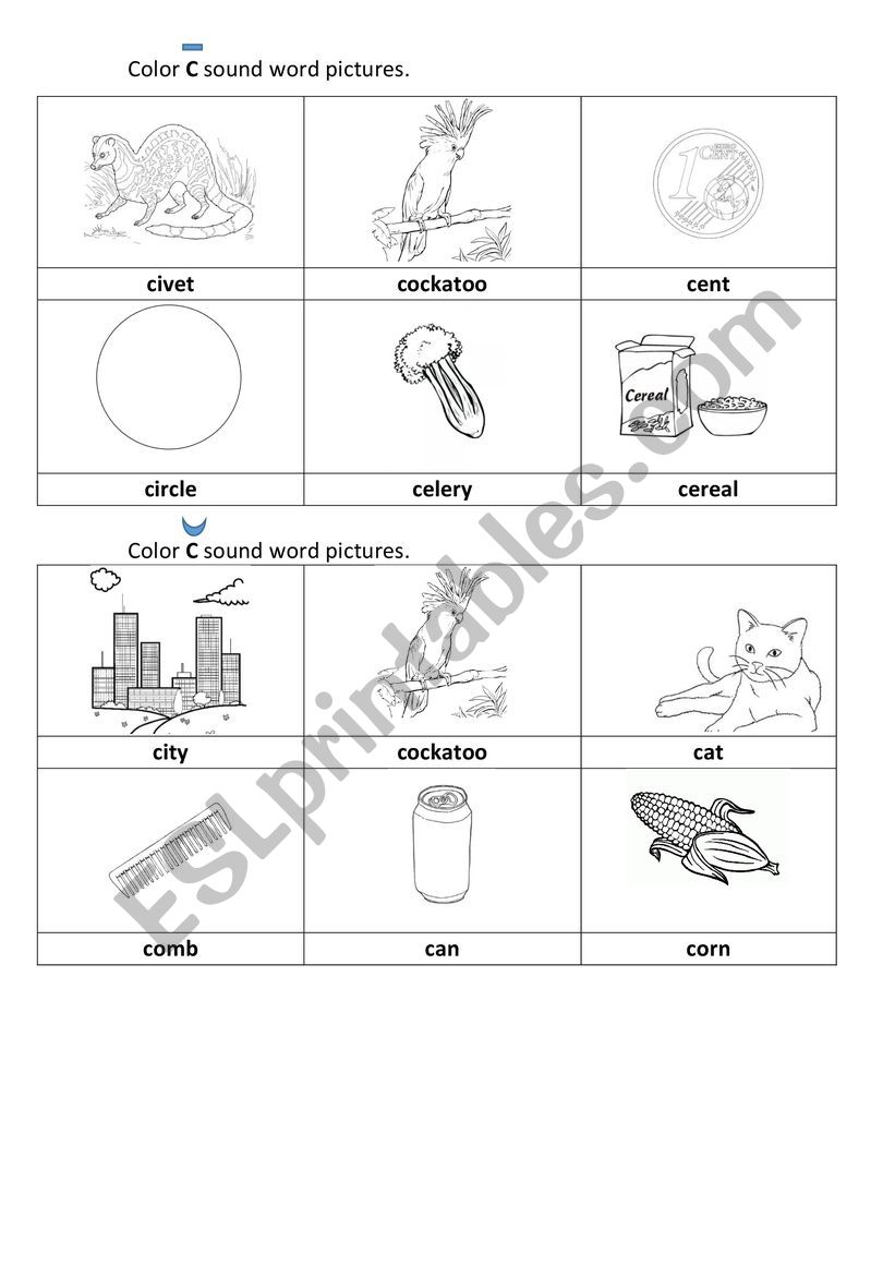 Letter C-sound C worksheet