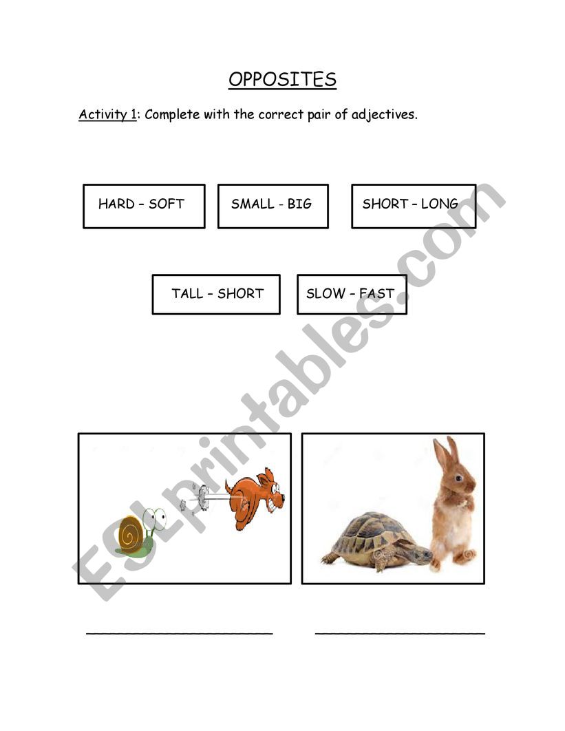 OPPOSITES worksheet