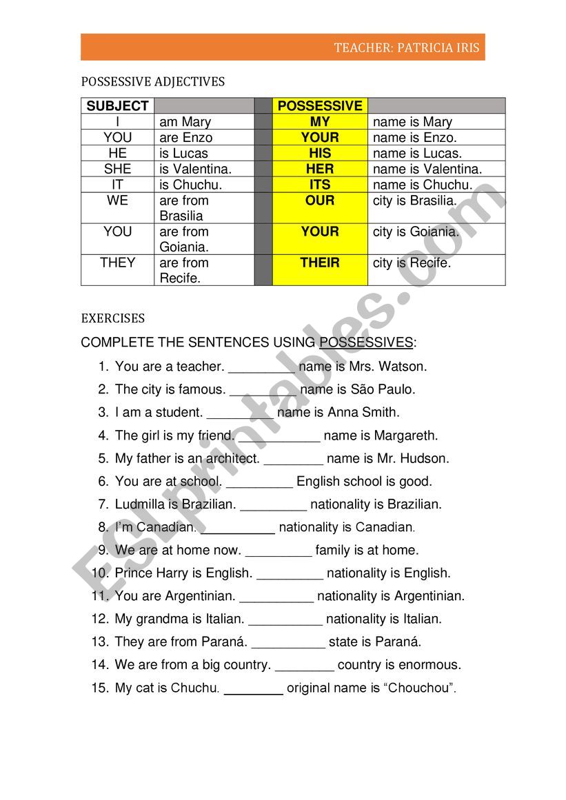 ADJECTIVE POSSESSIVES worksheet