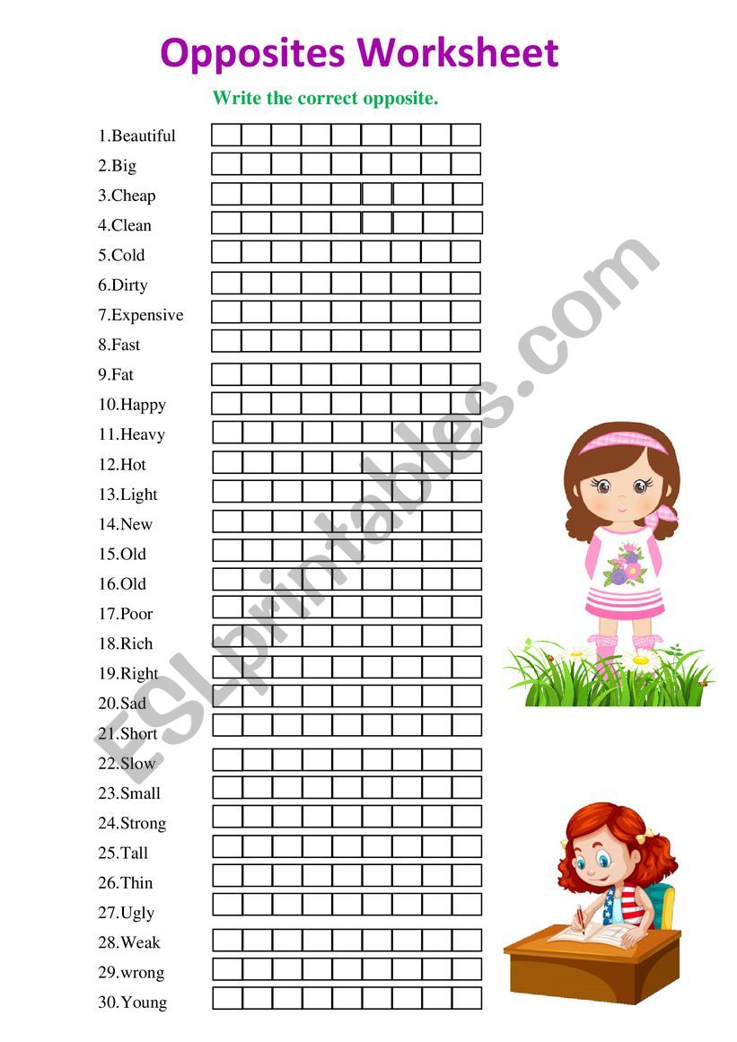 The Opposites worksheet