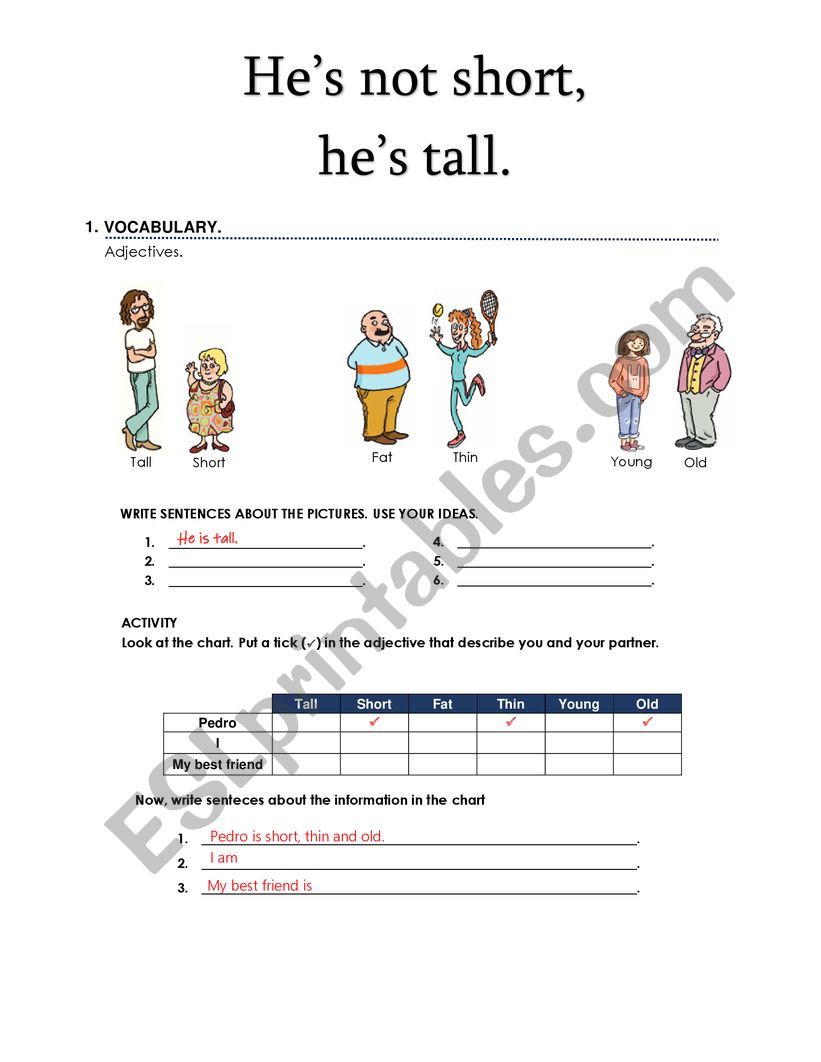 adjectives worksheet