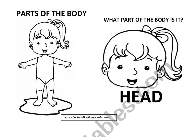 parts of the body girl esl worksheet by ppcal