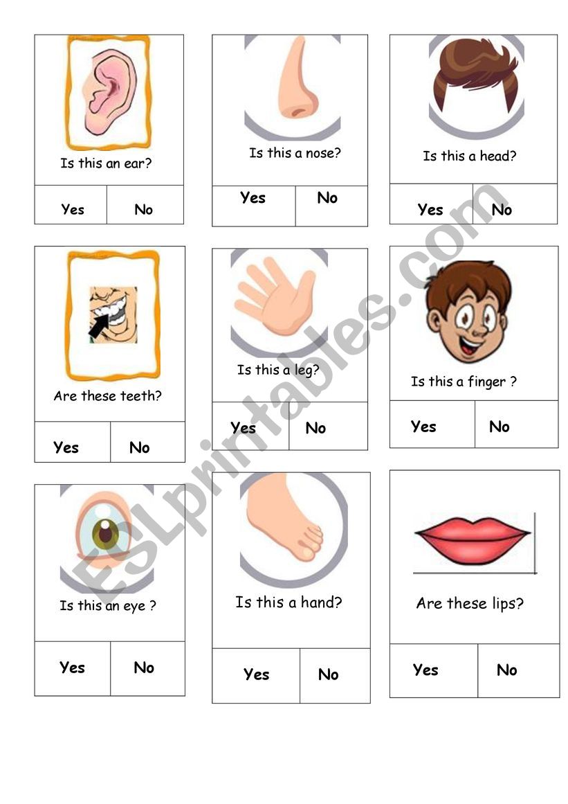 Body Parts worksheet