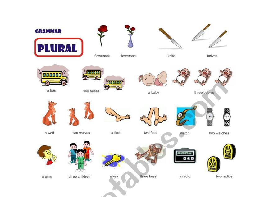 Plurals worksheet