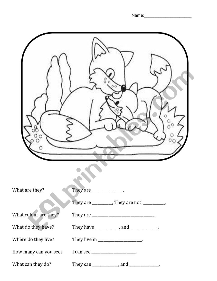 Fun Animal Worksheets