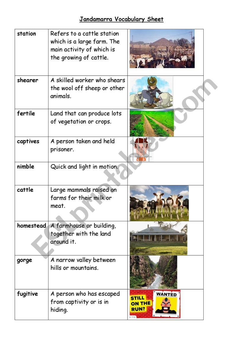 Jandamarra Vocabulary Sheet worksheet