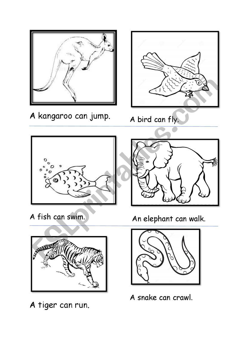 Animal movement worksheet