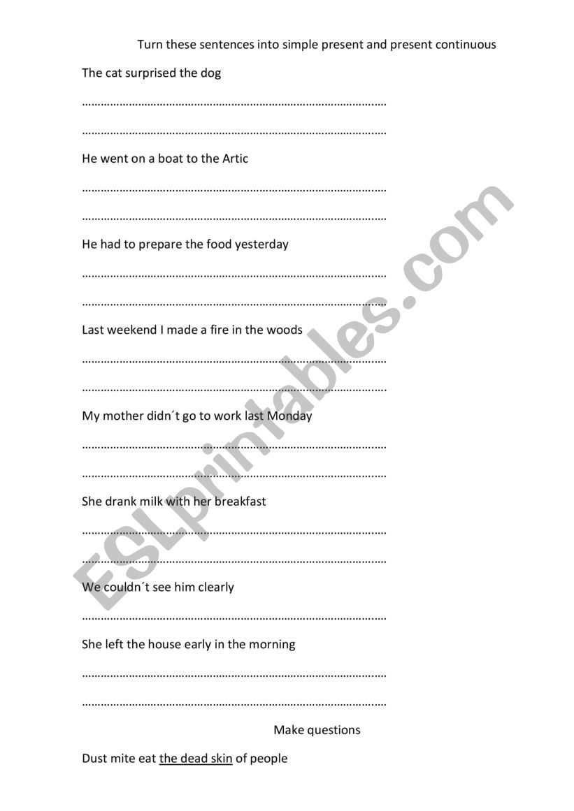 Simple Present and Continuous worksheet