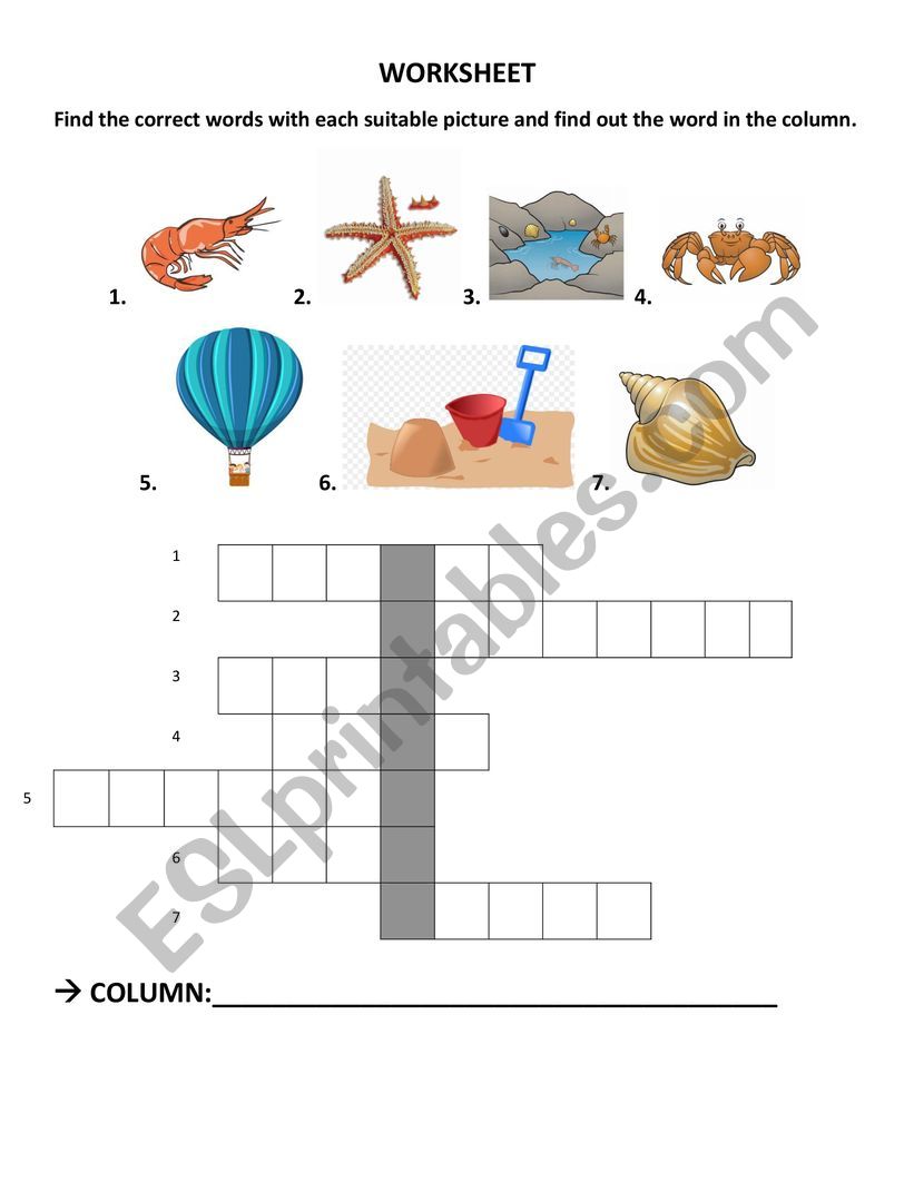 PUZZLE: SEA worksheet