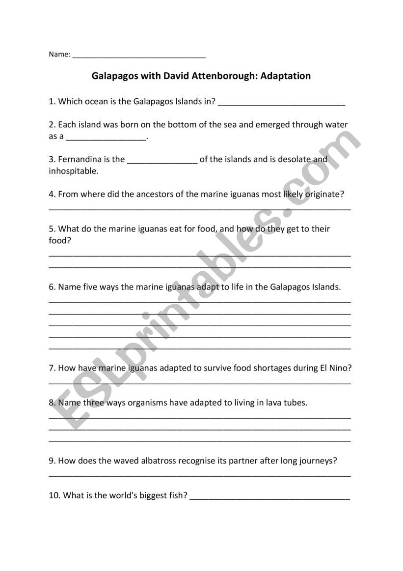 Galapagos Adaptations worksheet
