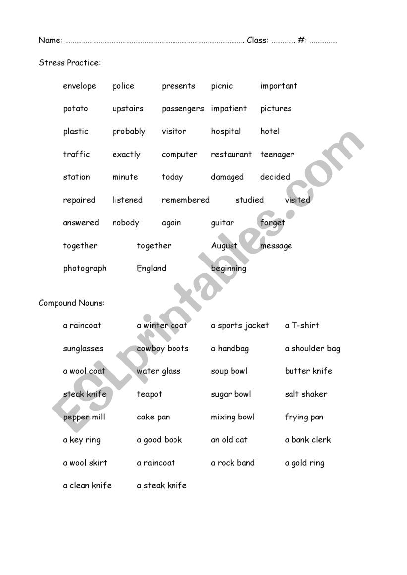 Stressed word  worksheet