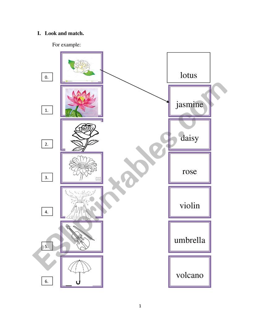 FLOWERS worksheet