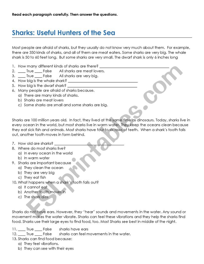SHARKS: USEFUL HUNTERS OF THE SEA